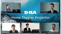 D-ILA explained